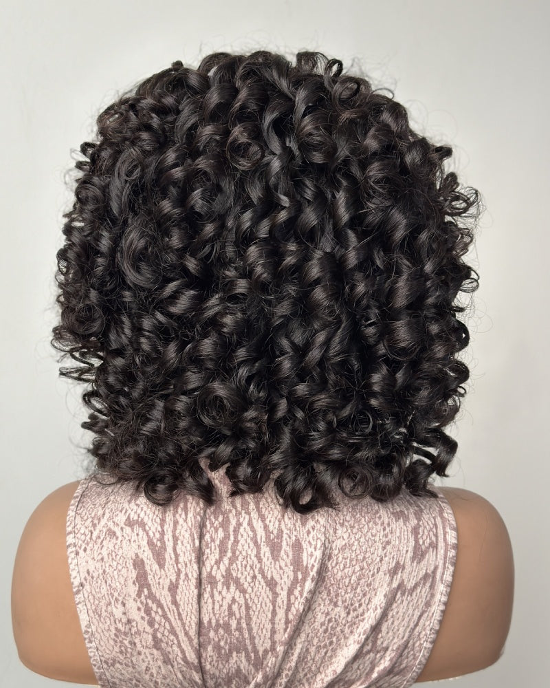 Bouncy Loose Curly Lace Front Wig