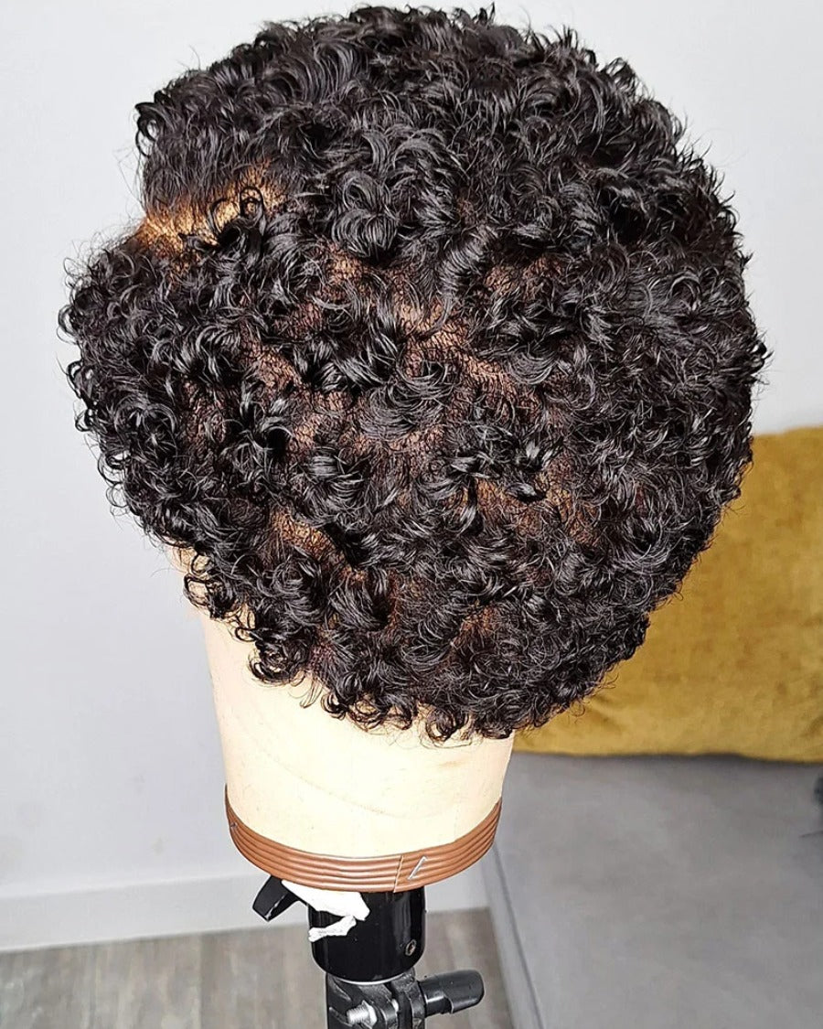 Afro Diva Curly Full Lace Wig