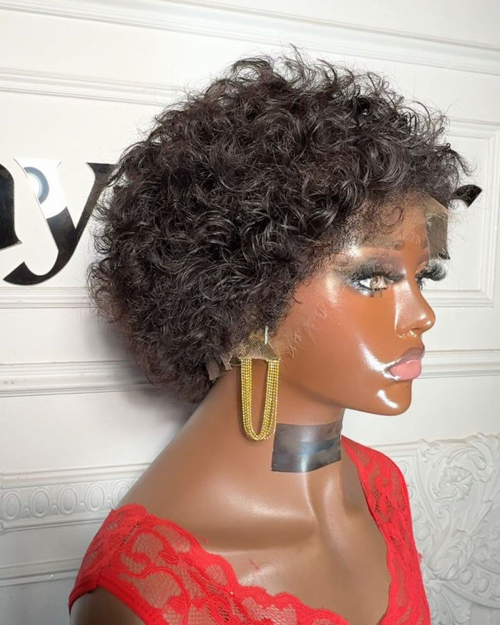 Natural Black Curly Lace Front Wig With Hybrid Hairline