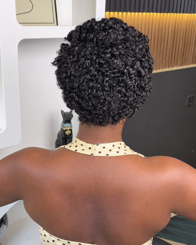 Urban Grace Cornrow Braid 13x6 Lace Wig with Short Curly Back