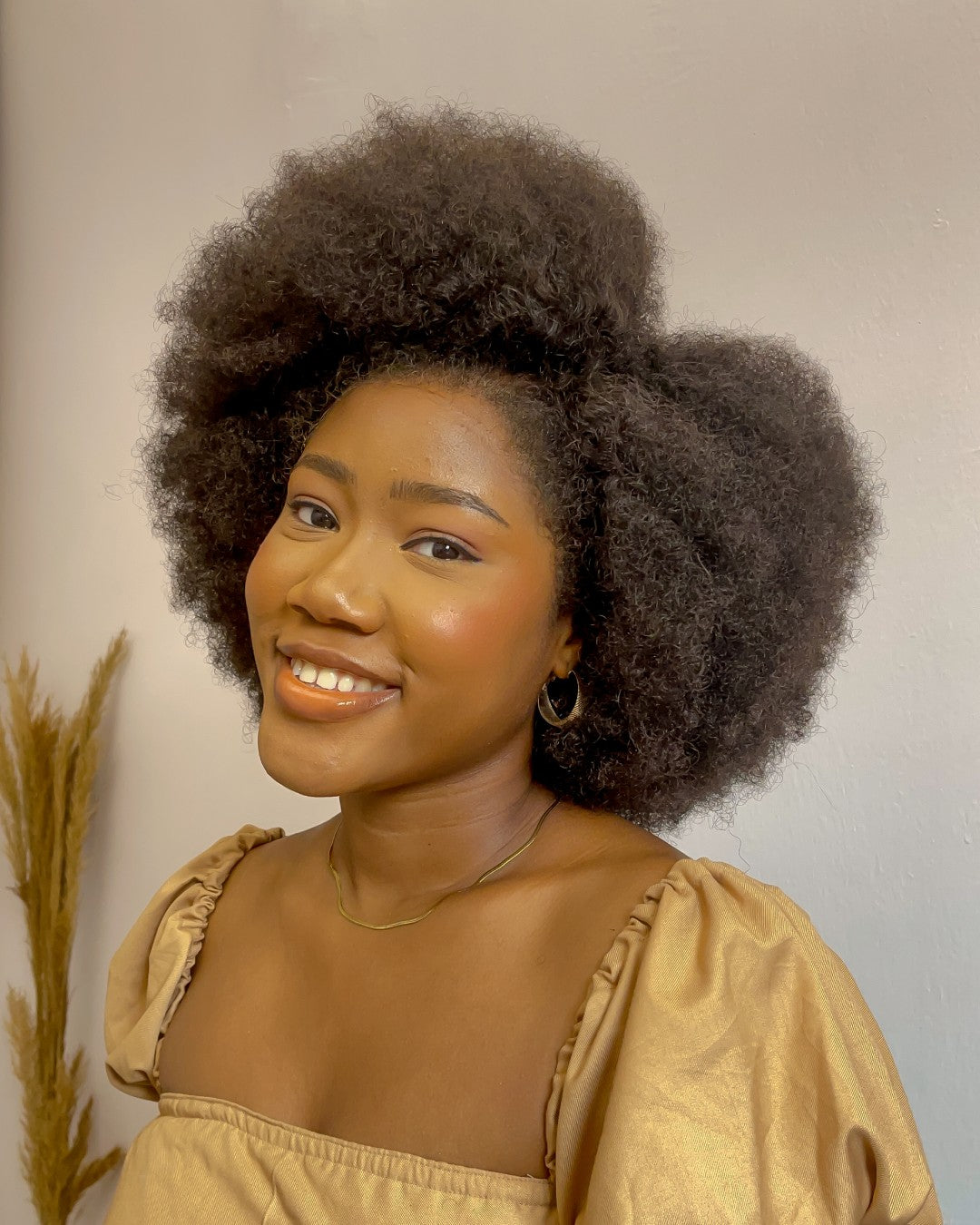 Afro Kinky Curly With Kinky Edges 13x4 HD Lace Front Bob Wig