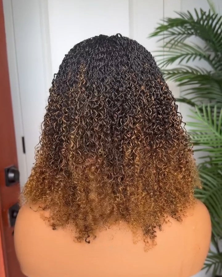Ombre Honey Gold Full Lace island twists Knotless Braids Invisi Drawstring Wig