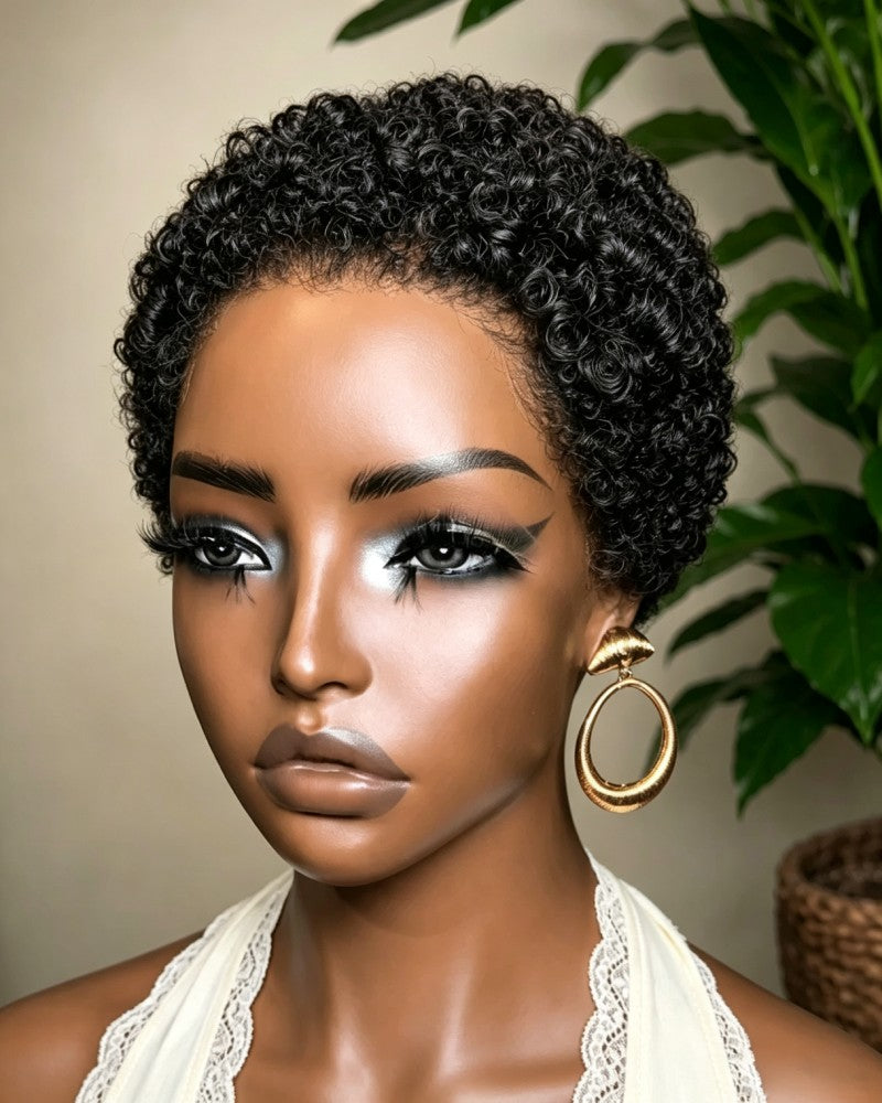 Glueless Afro Curly 13x4 Lace Front Wig