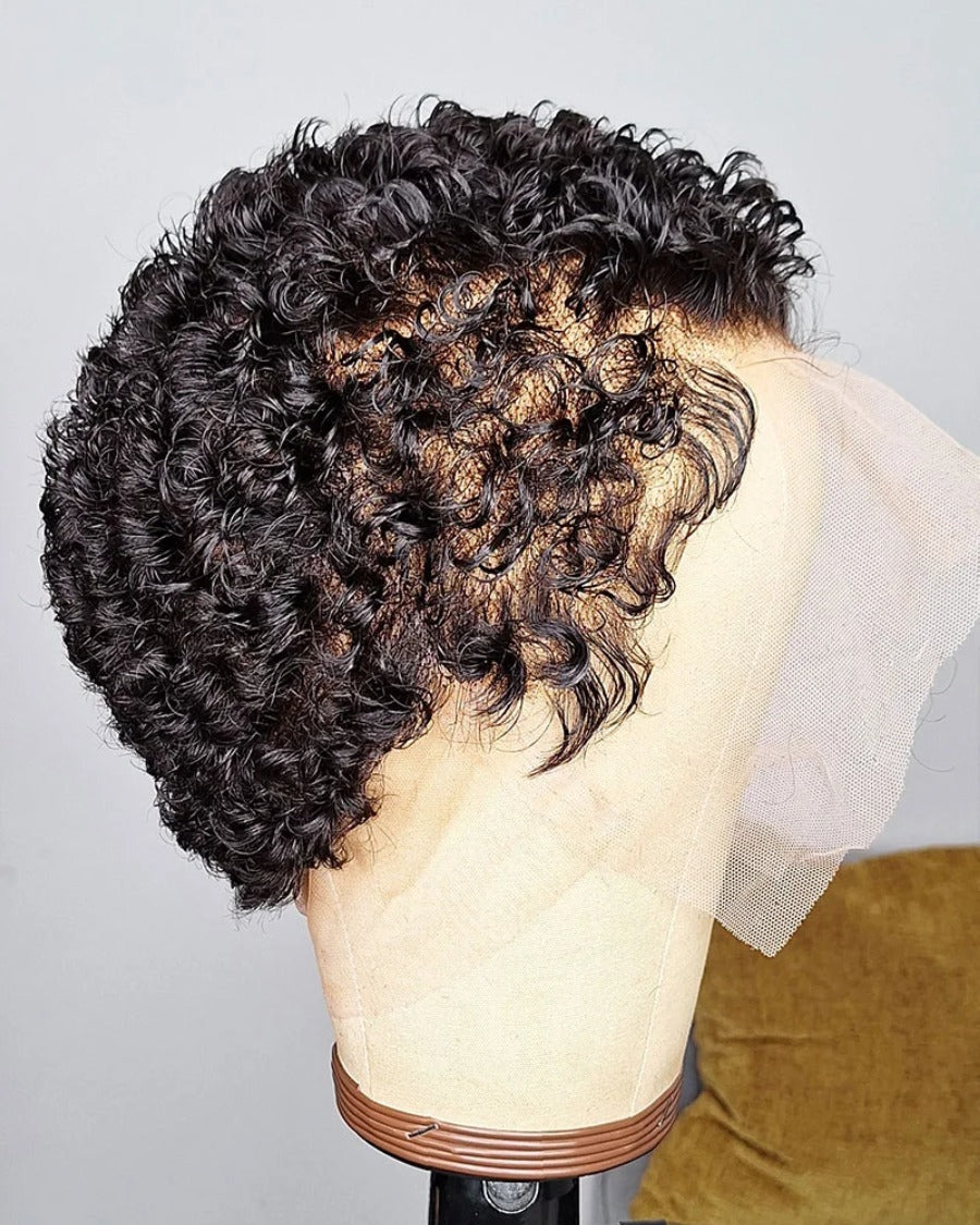 Afro Diva Curly Full Lace Wig
