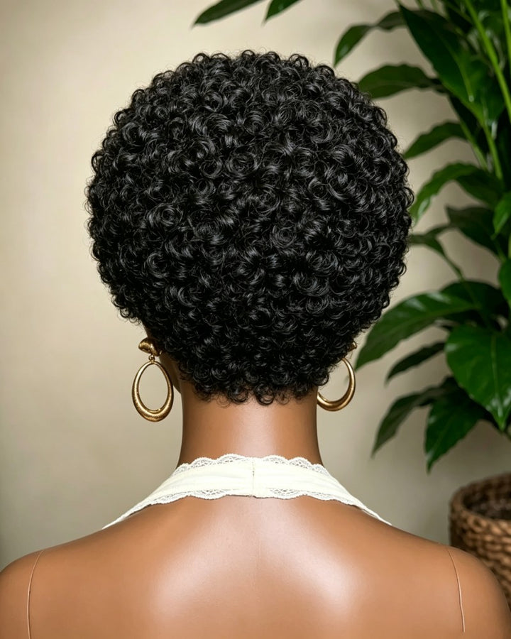 Glueless Afro Curly 13x4 Lace Front Wig