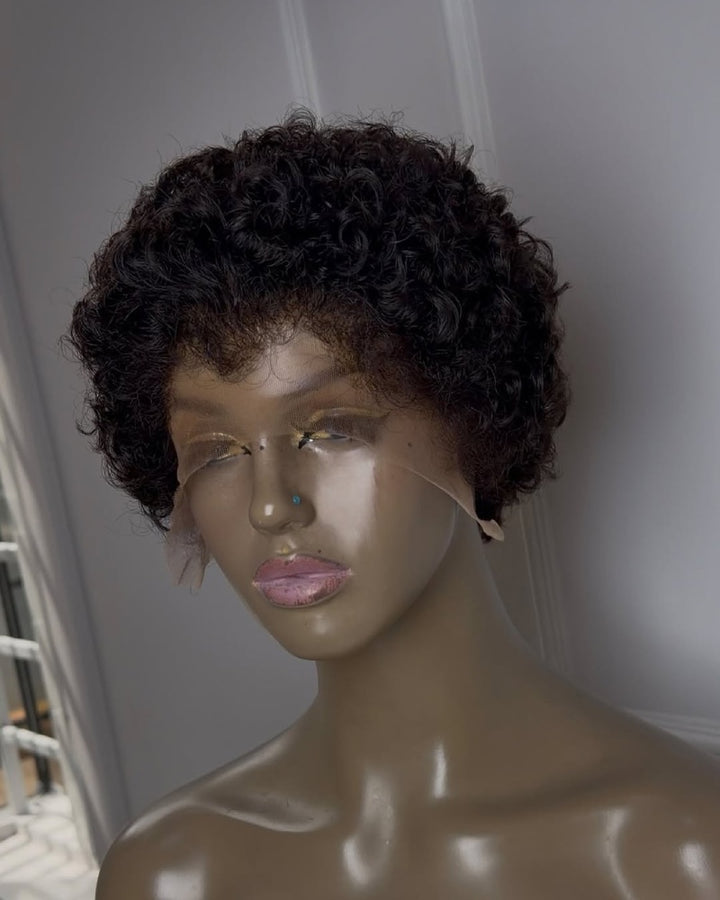 Natural Black Curly Lace Front Wig With Hybrid Hairline