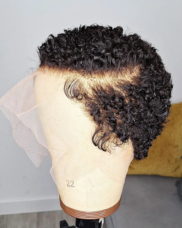 Afro Diva Curly Full Lace Wig