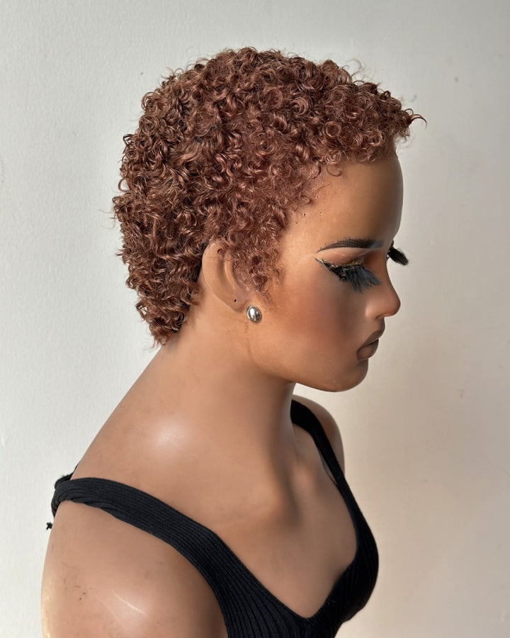 Fresh Start Brown Short Curly Pixie 13x6 Lace Wig with Tight Curls