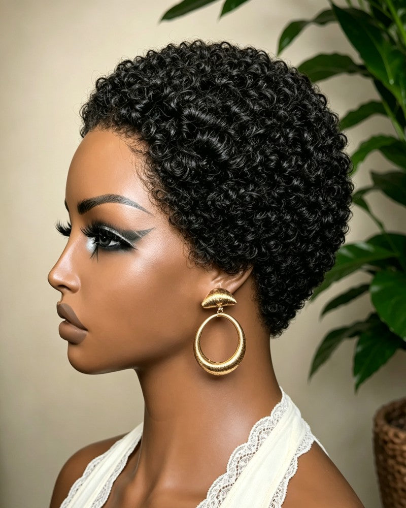 Glueless Afro Curly 13x4 Lace Front Wig