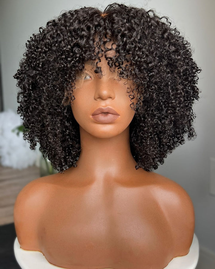 Human Hair Afro Curly 13x4 Lace Front Wig