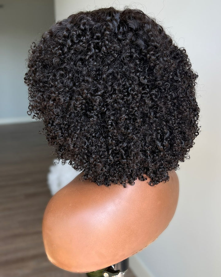 Human Hair Afro Curly 13x4 Lace Front Wig